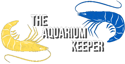 The Aquarium Keeper